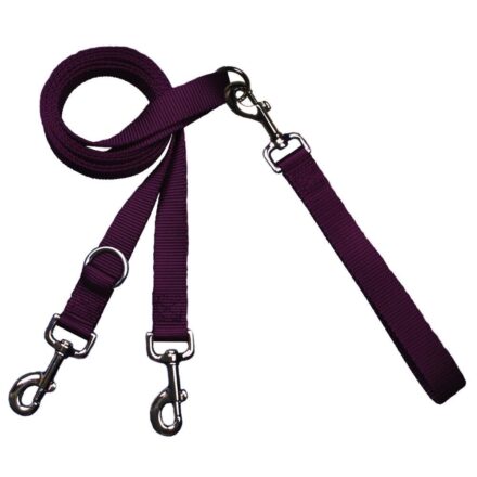 2HD Euro Leash 多功能雙扣牽繩
