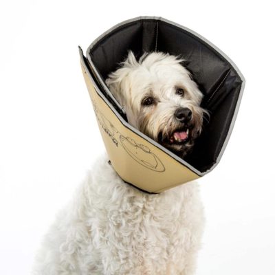 Comfy Cone 防舔咬伊莉莎白頭套