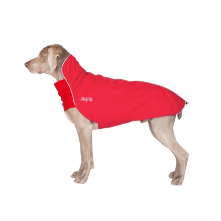 Chilly Dogs 防風透氣雨衣