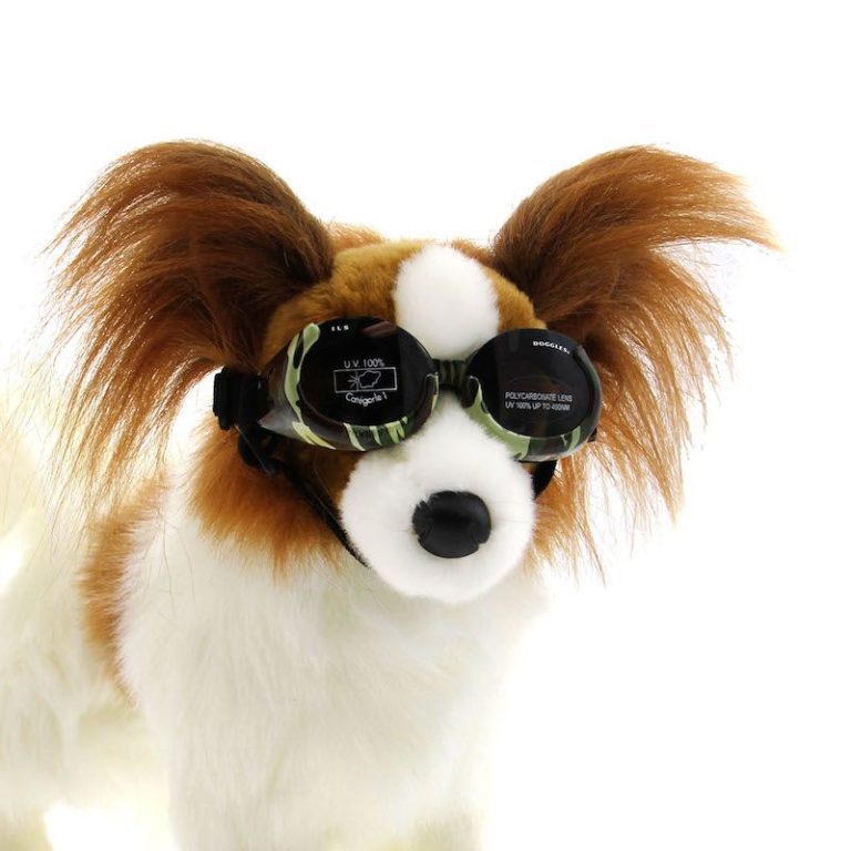 Doggles ILS 護目鏡太陽眼鏡