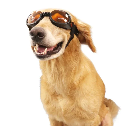 Doggles ILS 護目鏡太陽眼鏡