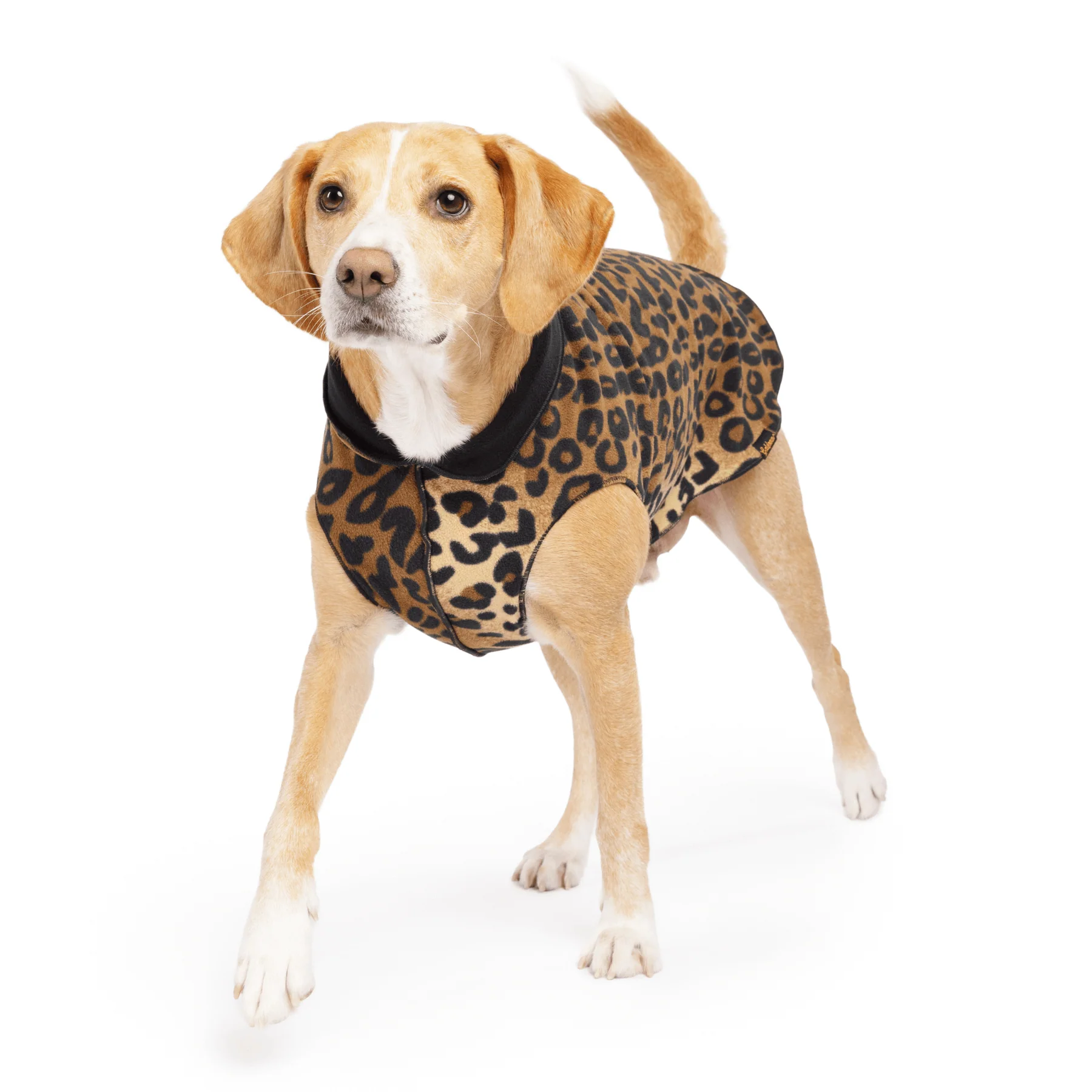 Gold Paw 雙層彈性刷毛背心