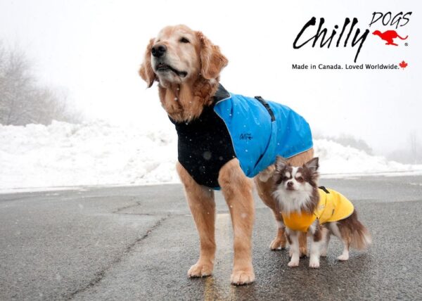Chilly Dogs 港口雨衣 Habour Slicker