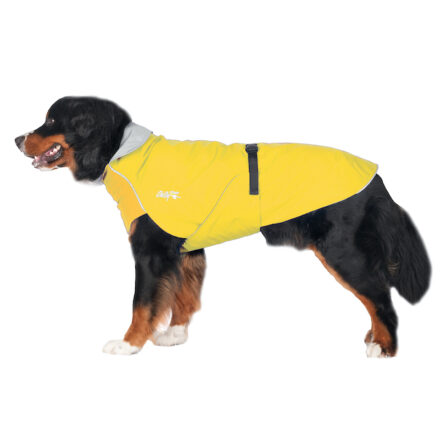 Chilly Dogs 港口雨衣 Habour Slicker