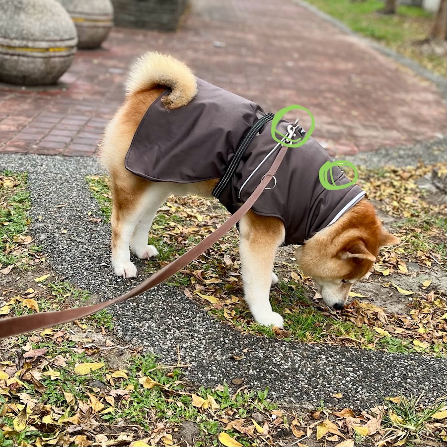 Gold Paw 防風雨衣