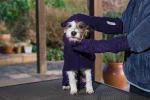 英國 Ruff and Tumble 吸水手套