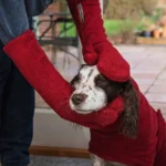 英國 Ruff and Tumble 吸水手套