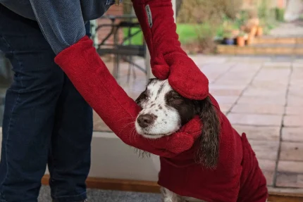 英國 Ruff and Tumble 吸水手套