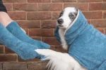 英國 Ruff and Tumble 吸水手套