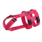 anny.x Safety 防掙脫胸背帶 Protect 款：圖片 2