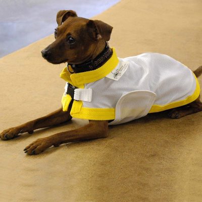 披風型防曬涼感衣 K9 Kooling Coat