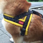 Ratia-T-harness-back