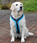 Topcanis RATIA 刷毛胸背帶（中大型犬）